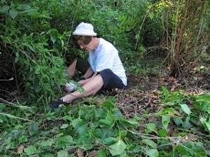 IMG_0256