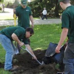 Volunteers Digging on the Boulevard
