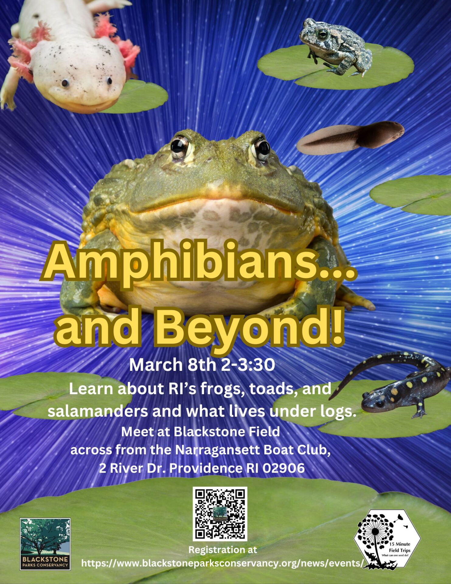 Amphibians and Beyond…