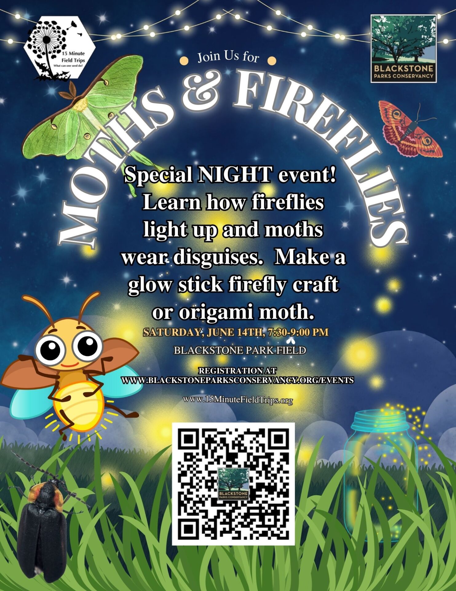 Moths and Fireflies