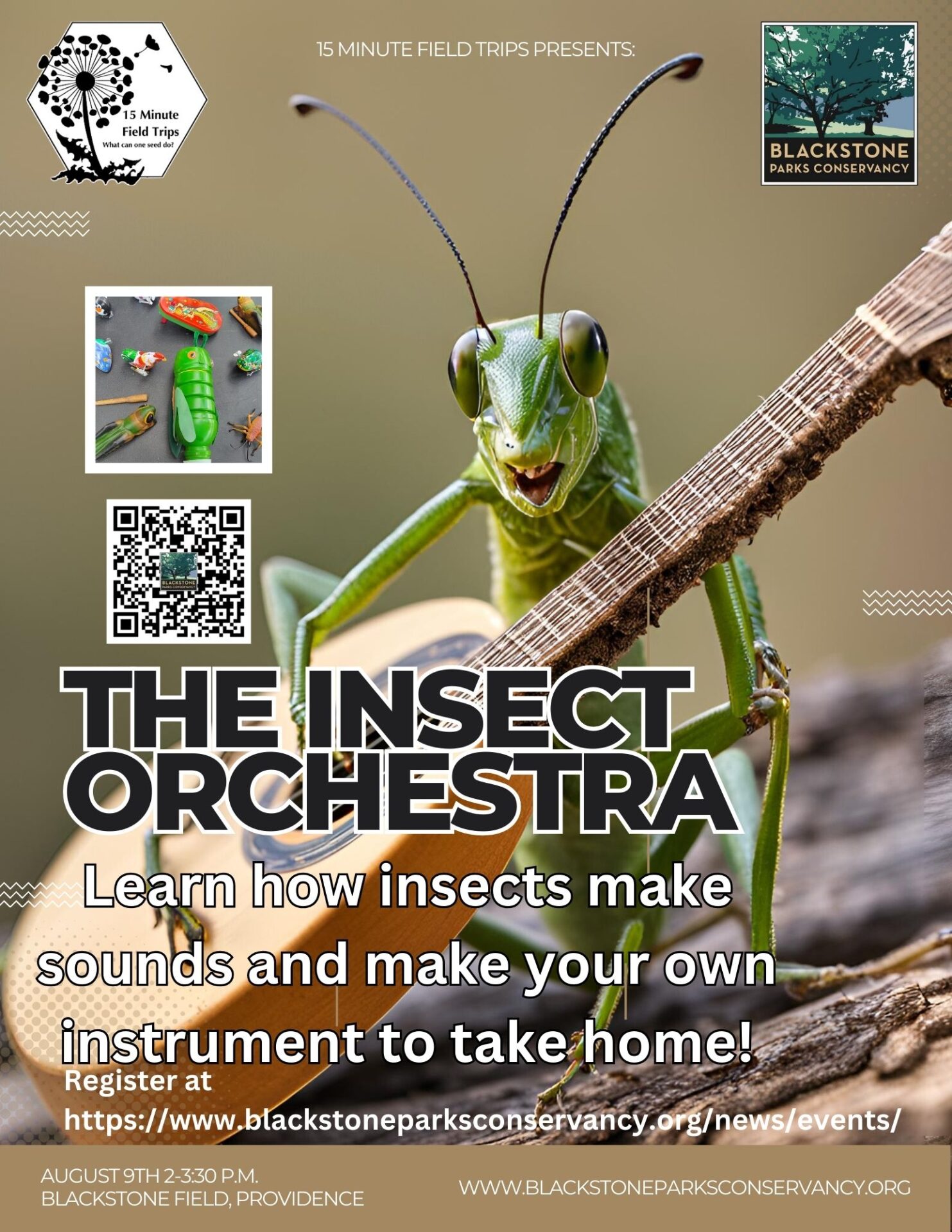 Insect Orchestra